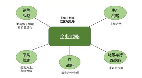 农业软件开发战略落地的路径与销售实践