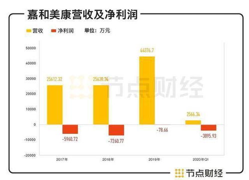 嘉和美康冲刺科创板 软件开发销售业务引关注，三年累亏过亿元，中国人寿与阿里健康参投